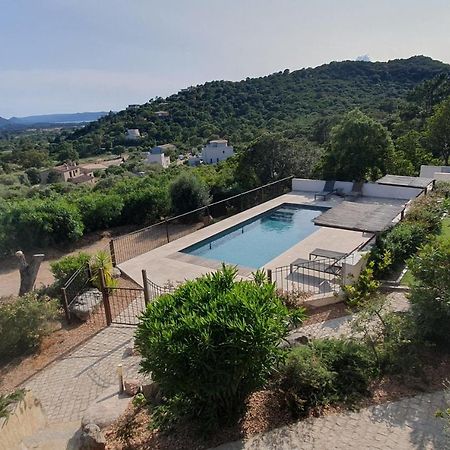 פורטו-וישיו Tres Belle Residence Vue Mer Et Piscine Chauffee - Baccalocation מראה חיצוני תמונה